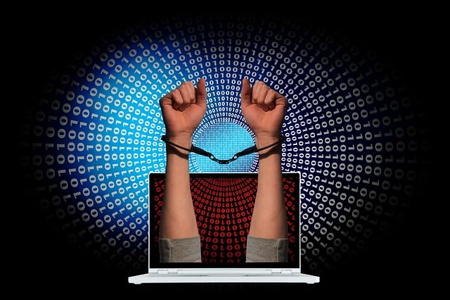 Cyber Arresting: Safeguarding Against Digital Threats